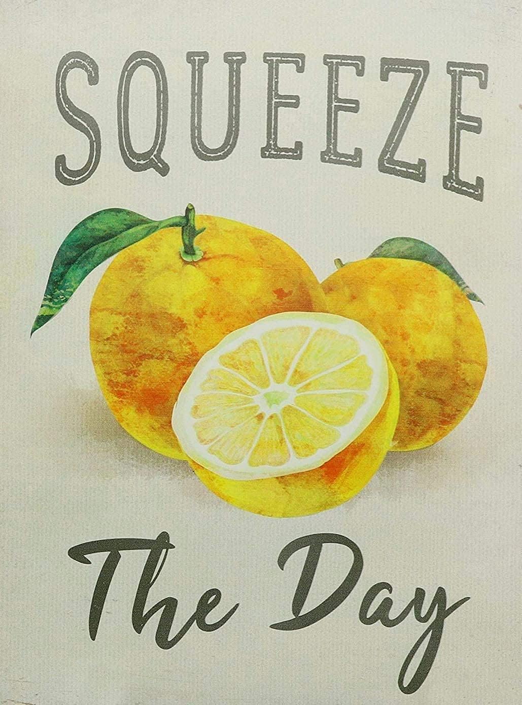 Home Bar And Coffee - Starotore Squeeze The Day Vintage Metalen