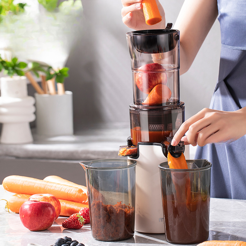 220V Huishoudelijke Elektrisch - Citrus Juicer Bar recensie en prijs